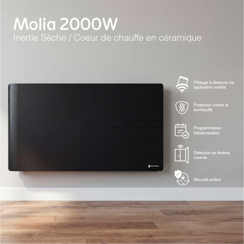 Radiateur électrique connecté 2000W double système de chauffe horizontal Noir Molia
